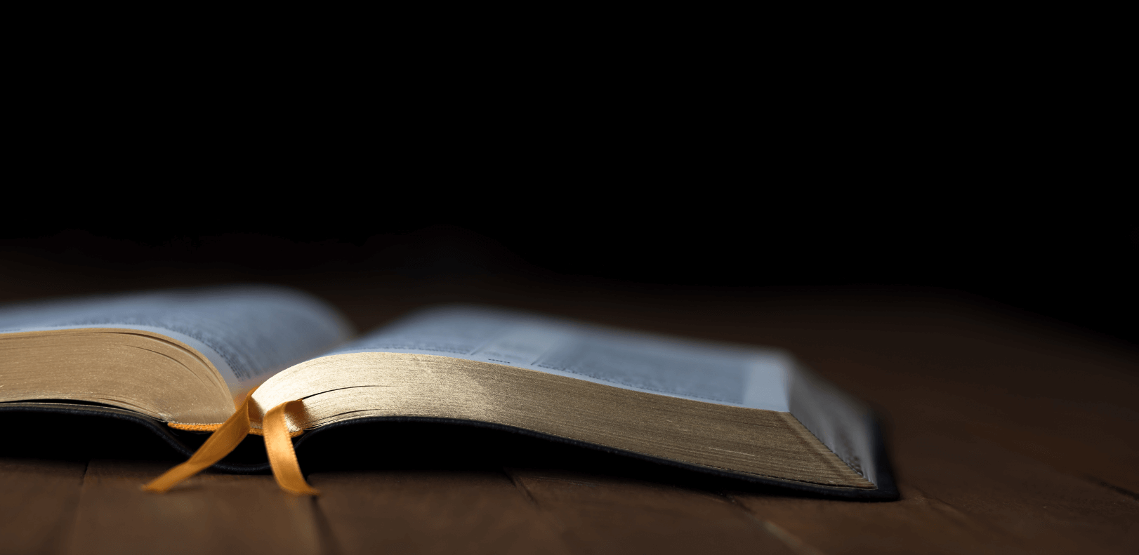 Featured image for “Know Jesus: He is the Word”