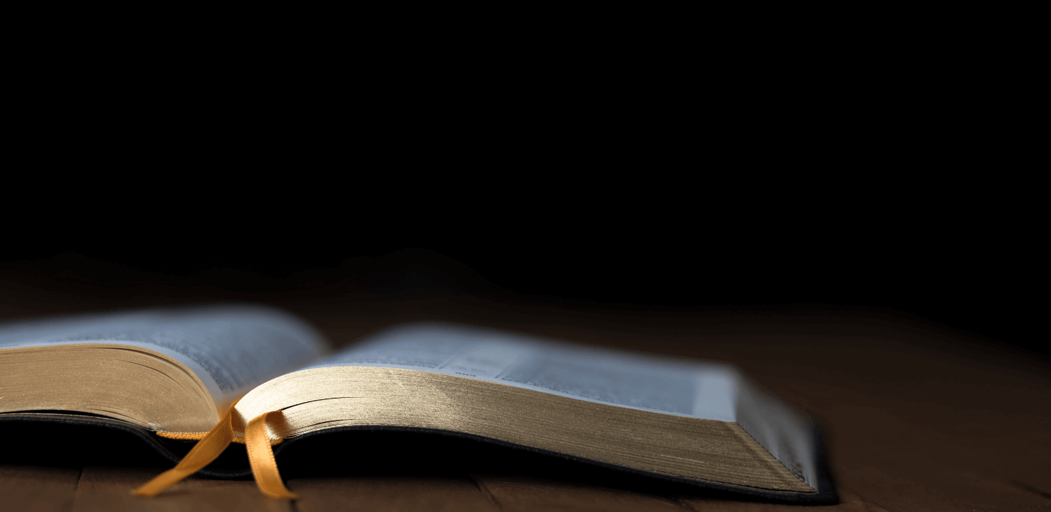 Featured image for “A God-Honoring Coach: has wisdom and understanding”