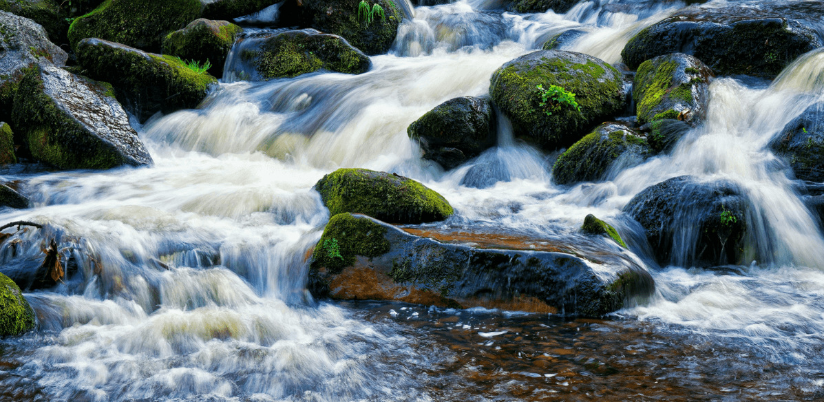 Featured image for “Practice Brings Progress: Scripture”