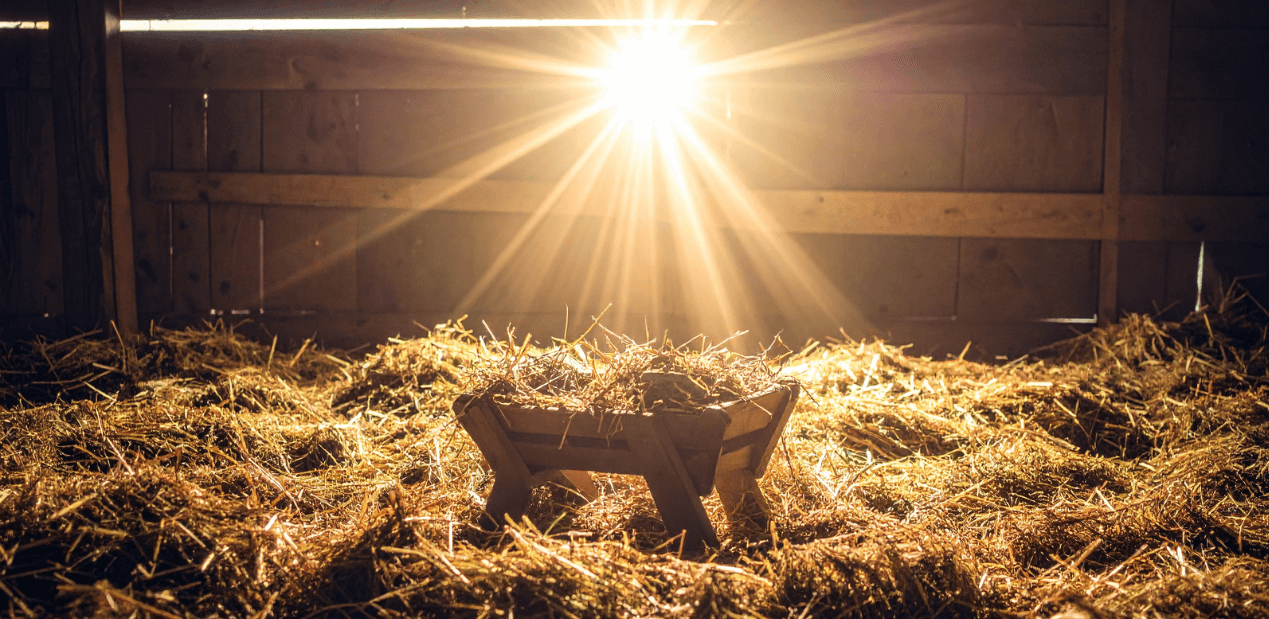 Featured image for “Christmas: The Coming of our Savior”