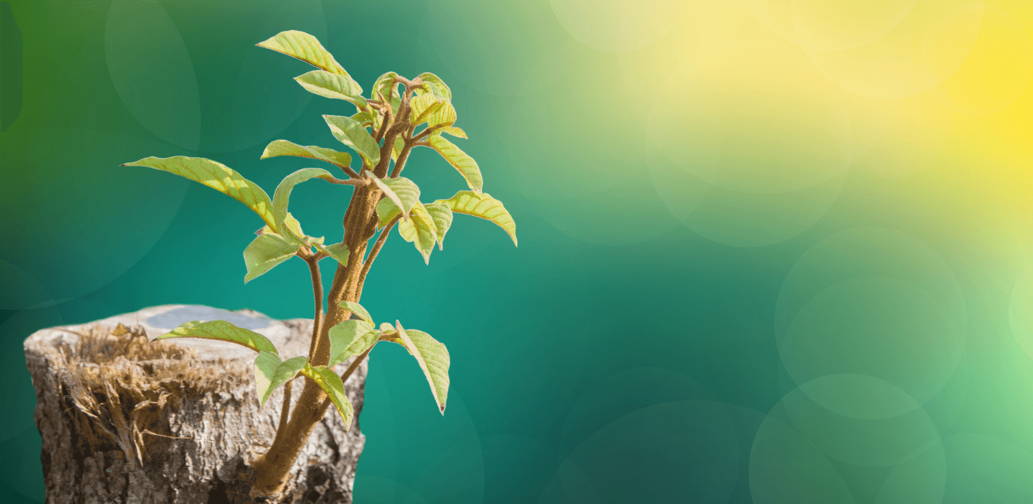 Featured image for “New Year, New Coach: new life”