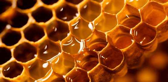 Featured image for “Coaching & the Bible: delight in it”