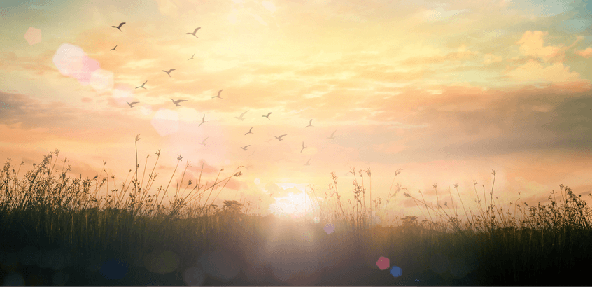 Featured image for “Why Trust God: His goodness”