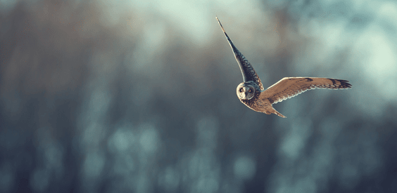Featured image for “Why Trust God: His wisdom”